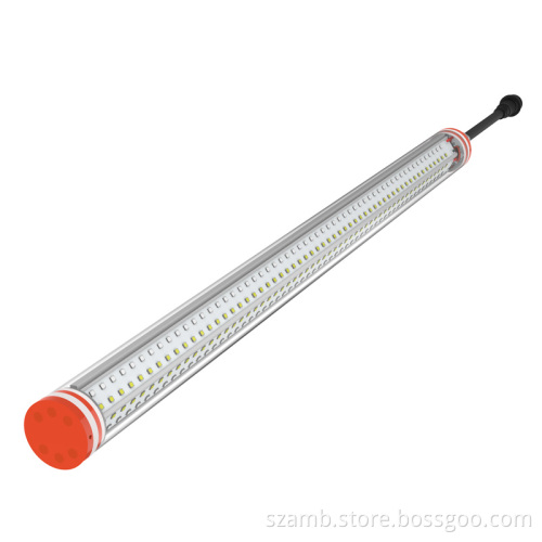 T12 Poultry Lighting